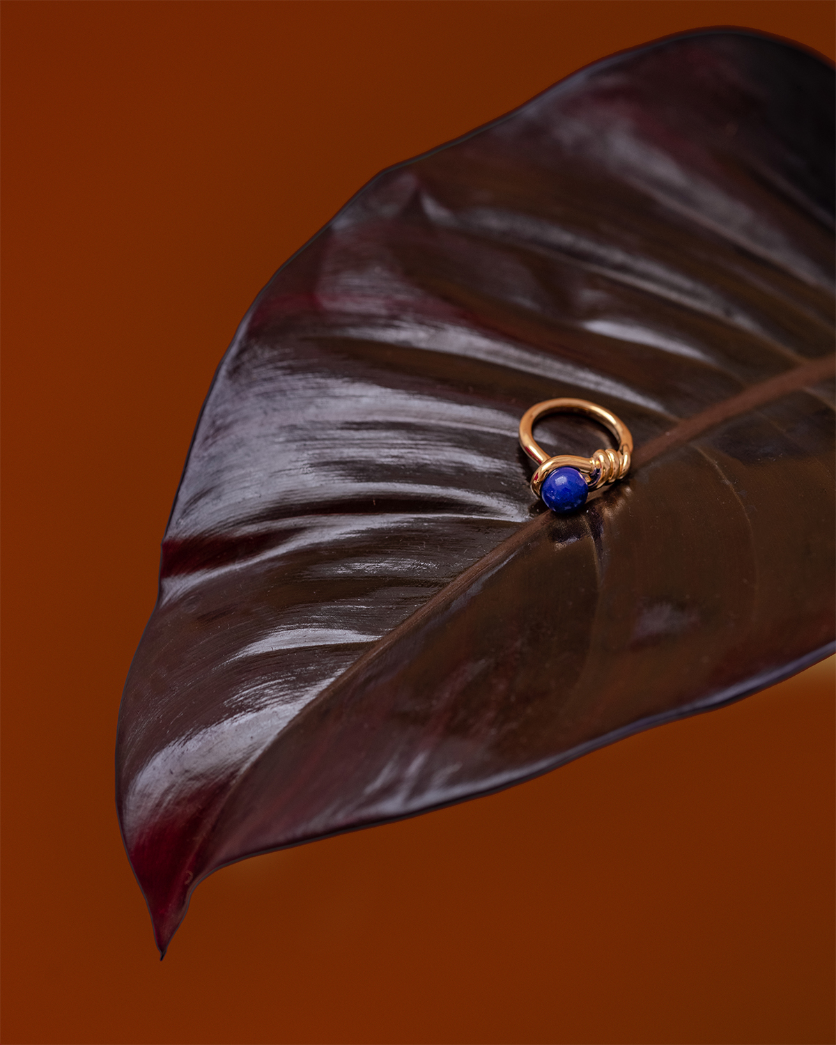 Kinomi Vine Ring - lapis lazuli 詳細画像