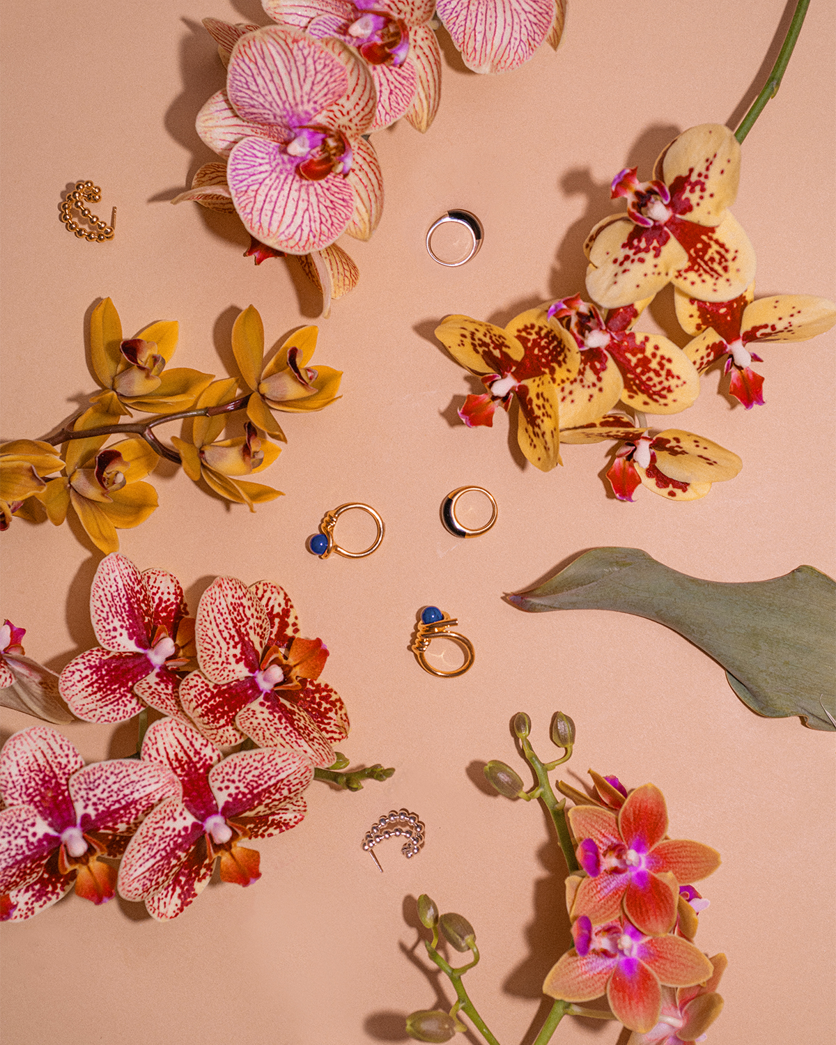 Kinomi Vine Ring - lapis lazuli 詳細画像