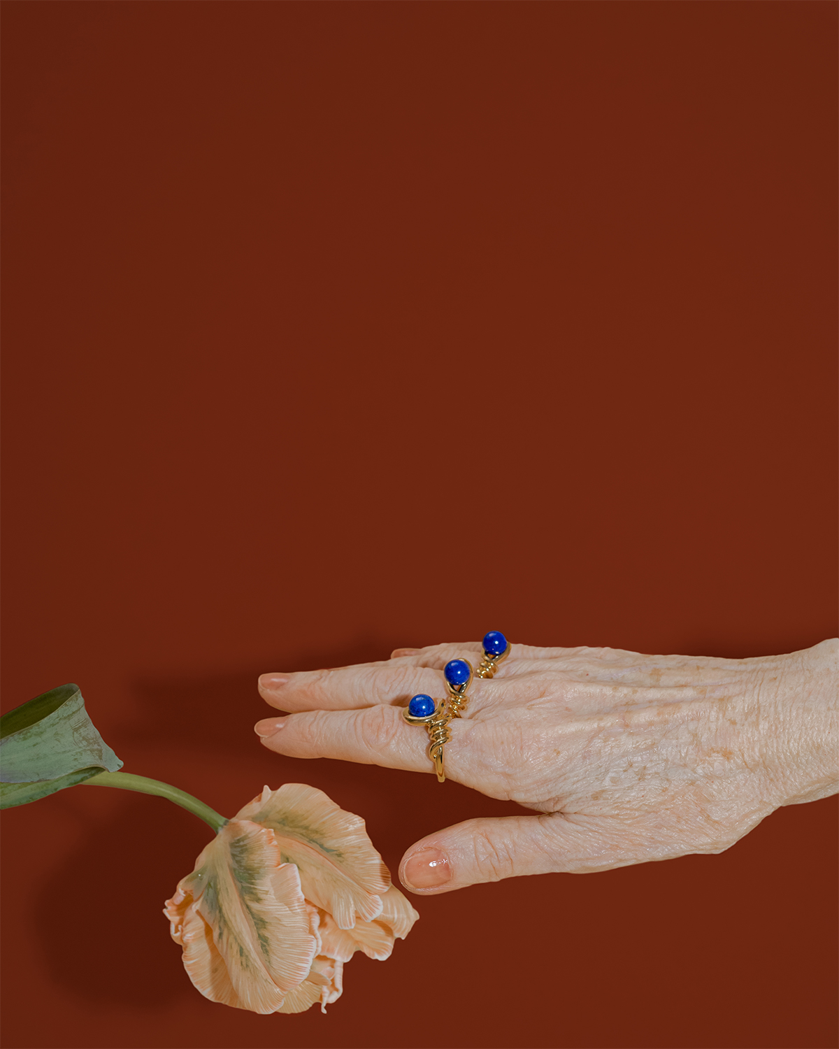 Kinomi Vine Ring - lapis lazuli 詳細画像