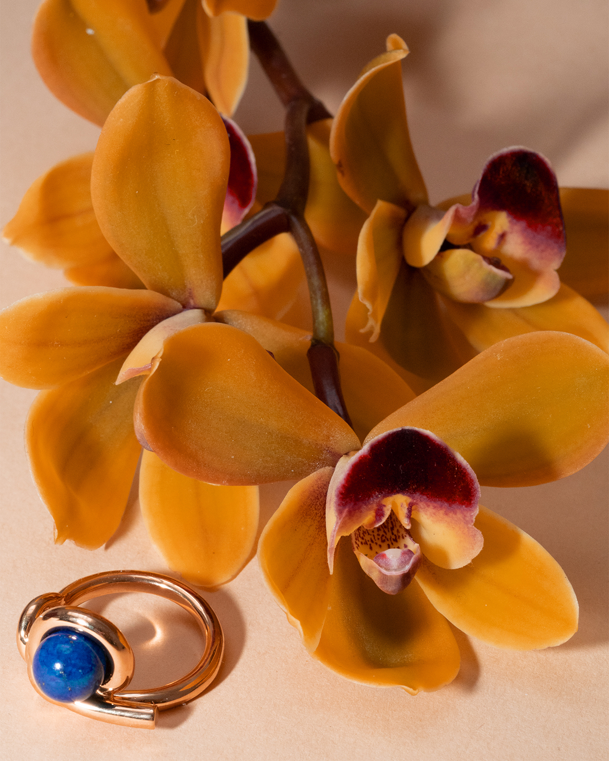 Kinomi Twist Ring - lapis lazuli 詳細画像