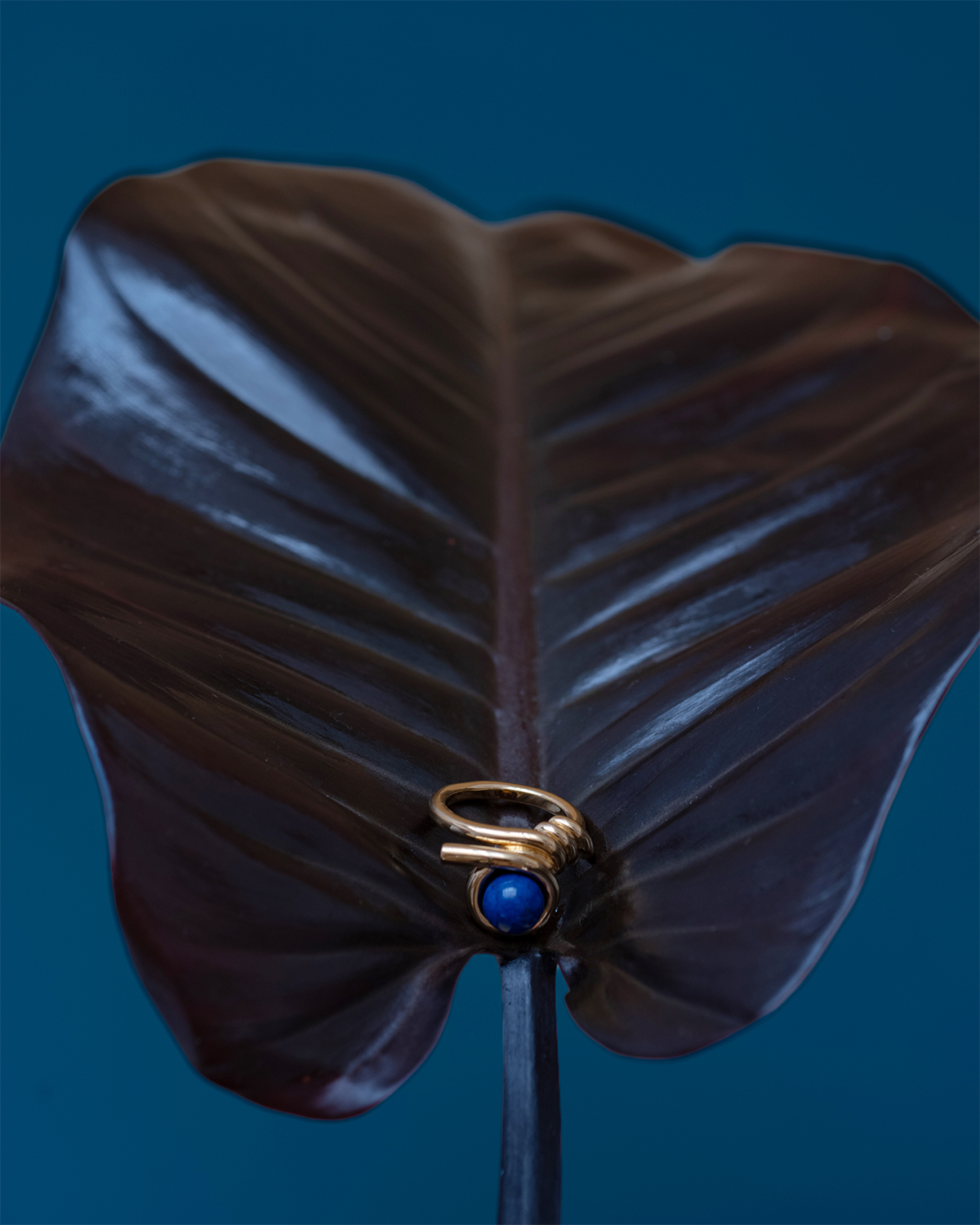 Kinomi Twist Ring - lapis lazuli 詳細画像