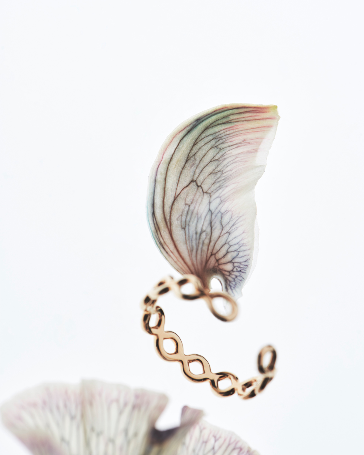 10K Seaweed Ring 詳細画像